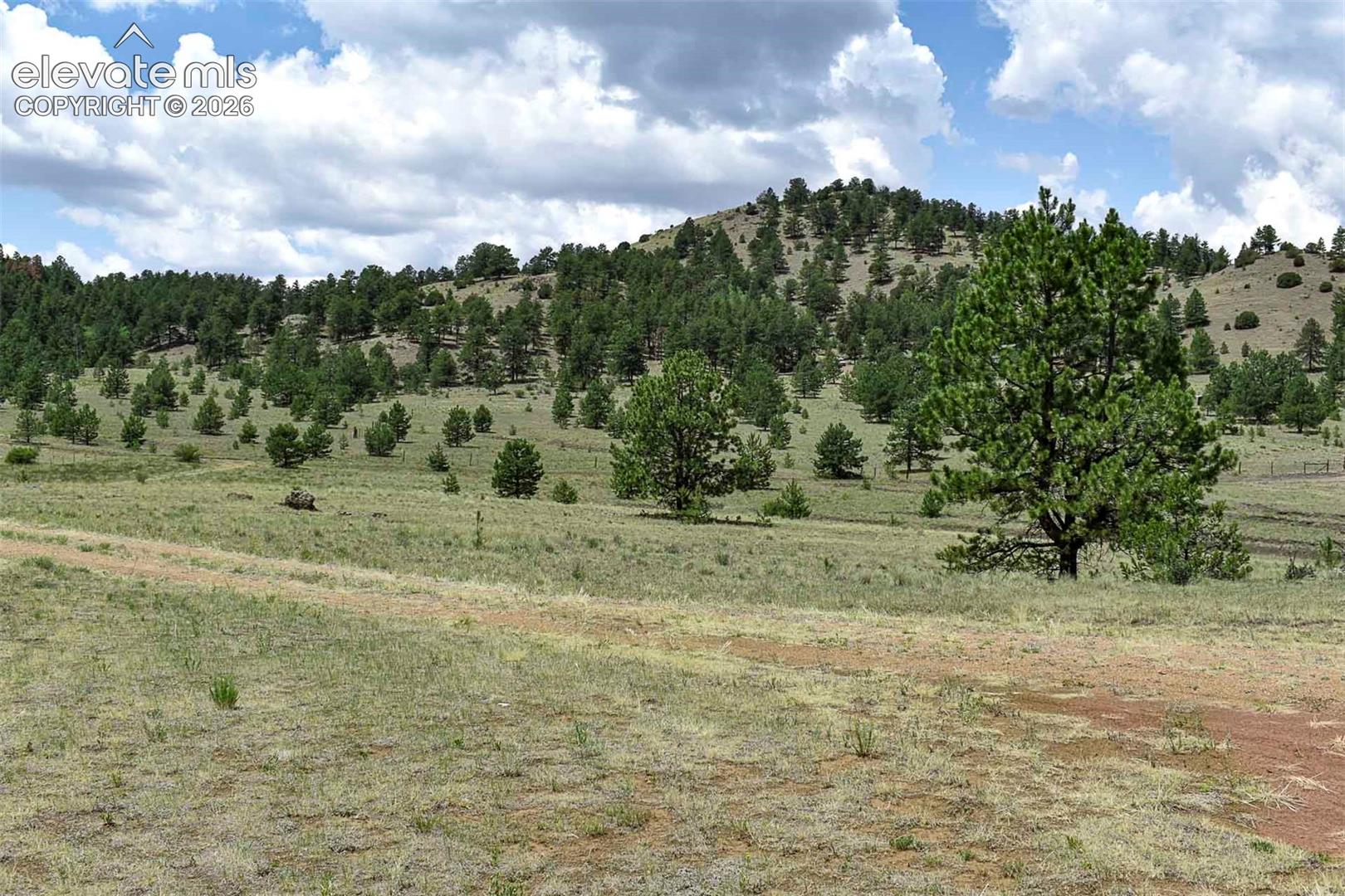 376 Copeland Road Guffey, CO 80820 - Photo 42 of 47