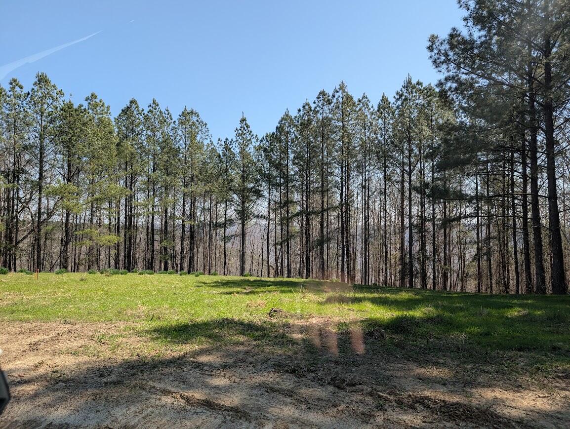 Lot 2241 Riverbend Road Guild, TN 37340 - Photo 3 of 7 lot 2241 image 2