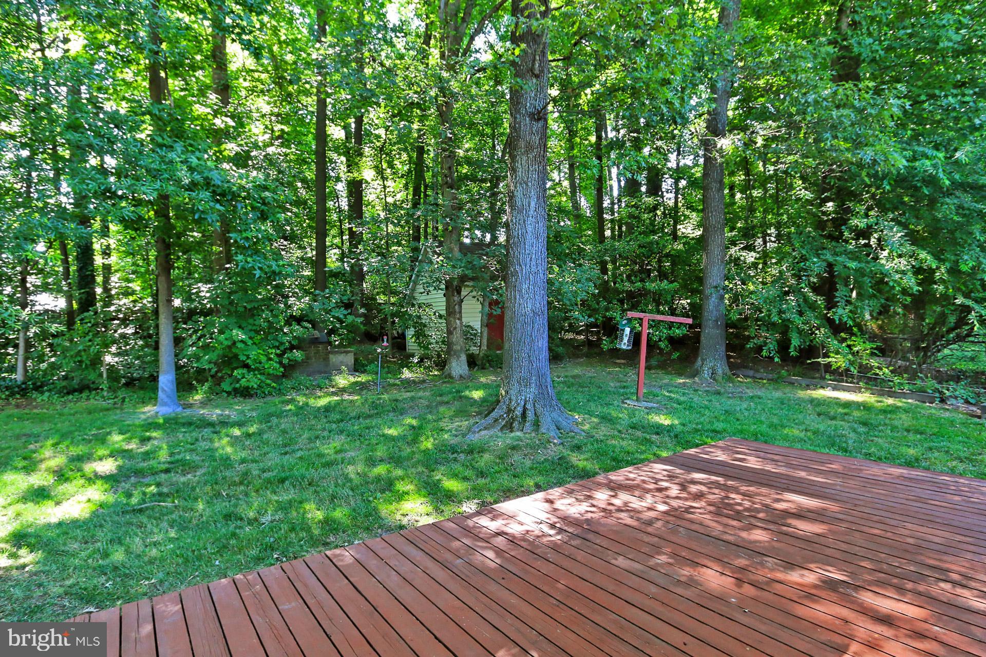 6807 Huntsman Boulevard Springfield, VA 22152 - Photo 41 of 46 Backyard
