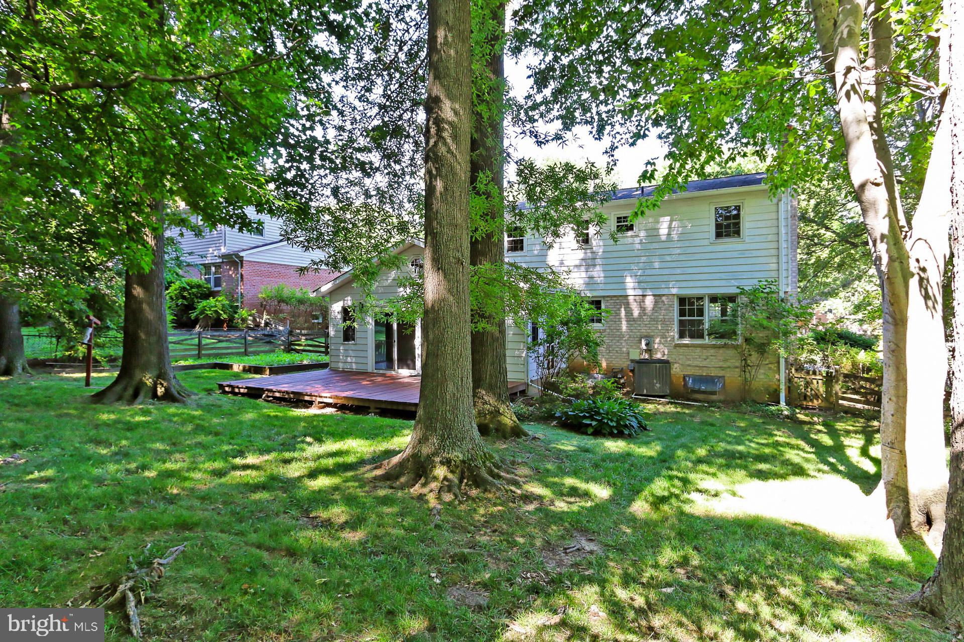 6807 Huntsman Boulevard Springfield, VA 22152 - Photo 43 of 46 Backyard