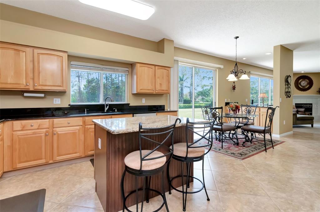 18511 Bittern Avenue Lutz, FL 33558 - Photo 21 of 63