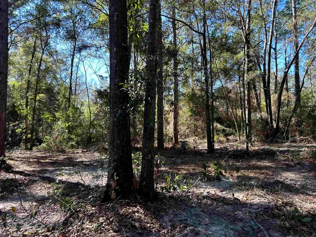$85,000 | 26 Rosewood Road, Crawfordville, FL 32327