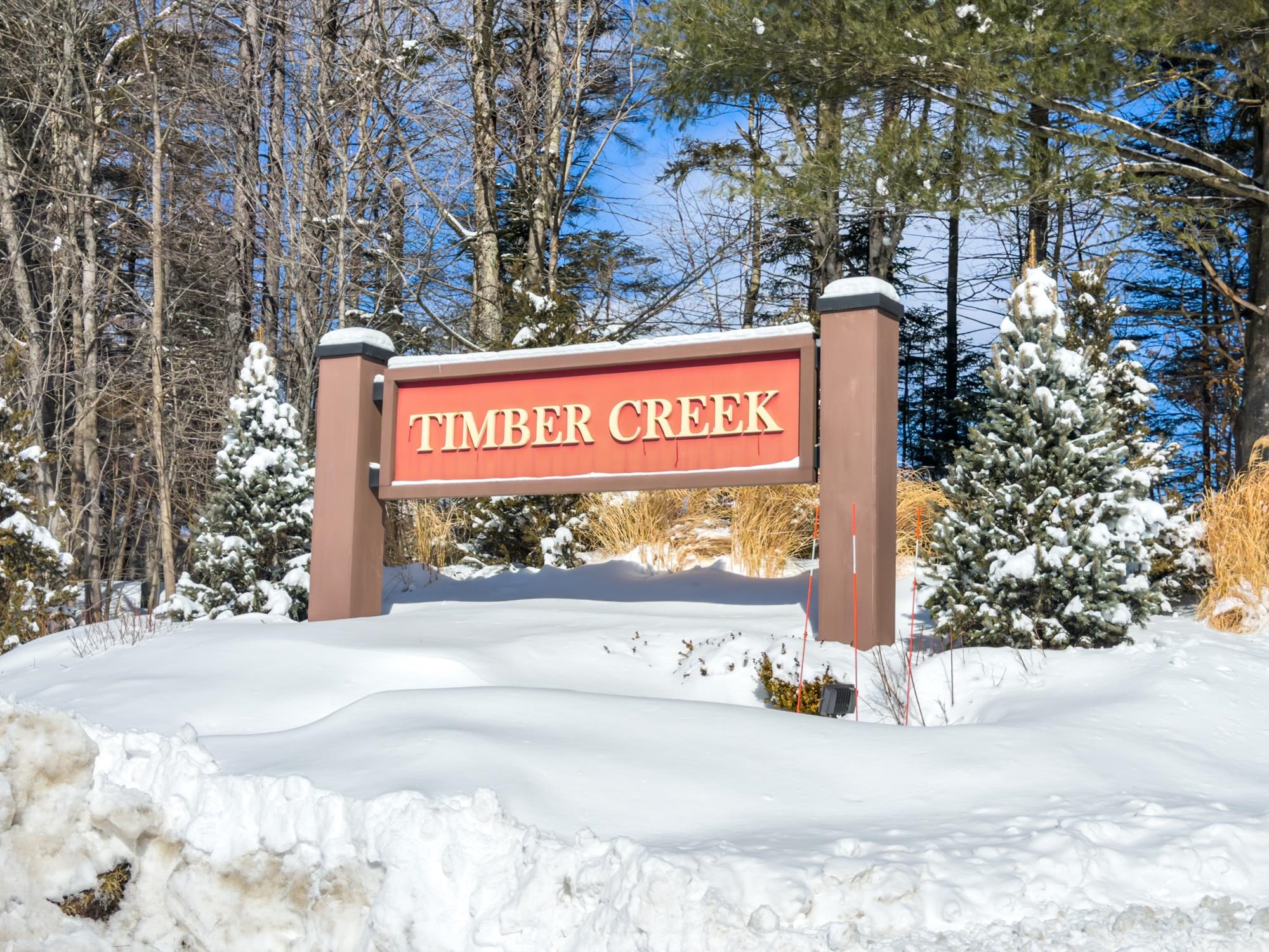 33 D White Oaks Loop, Unit 38 West Dover, VT 05356 - Photo 30 of 30