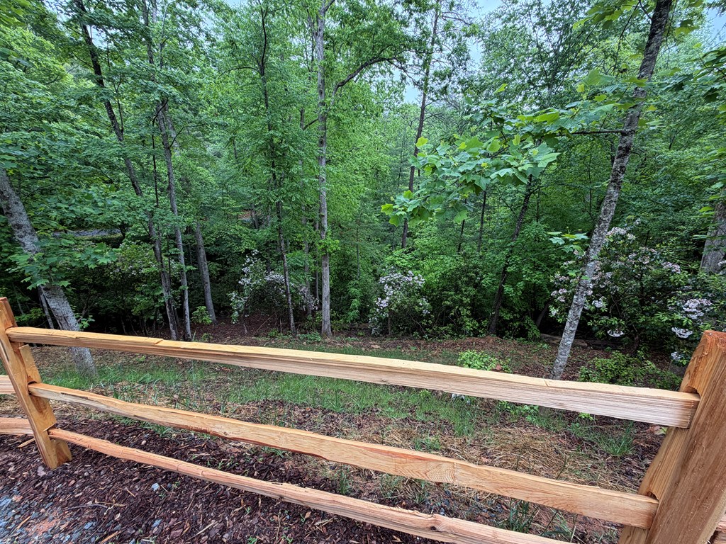 538 Hiawatha Trail Blue Ridge, GA 30513 - Photo 60 of 60