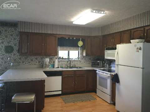9600 South State Road Morrice, MI 48857 - Photo 8 of 19 20440819-7.JPG