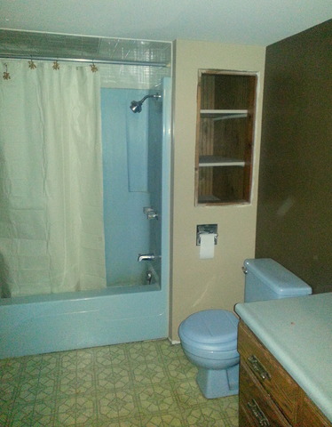 1021 Webster Street Ottawa, IL 61350 - Photo 7 of 11 a bathroom with a toilet a sink and shower