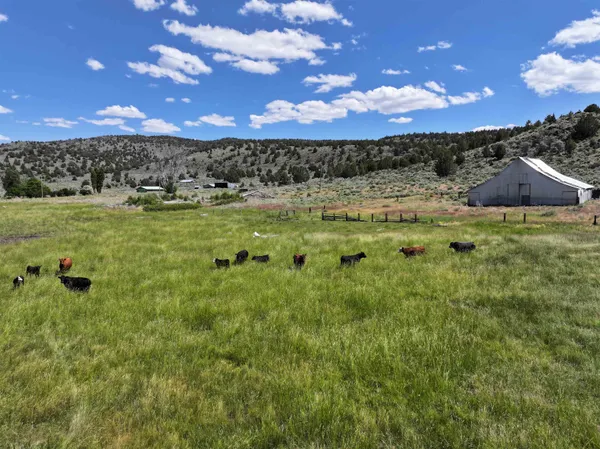 a view of a garden with an ocean