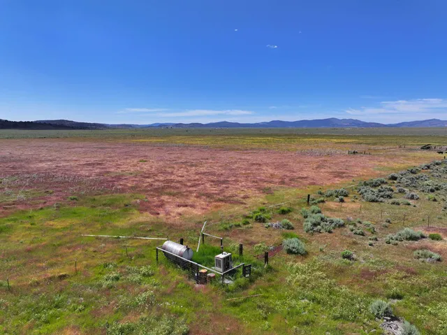 a view of an ocean beach