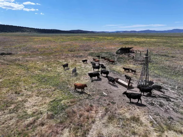 a view of an outdoor space and city view