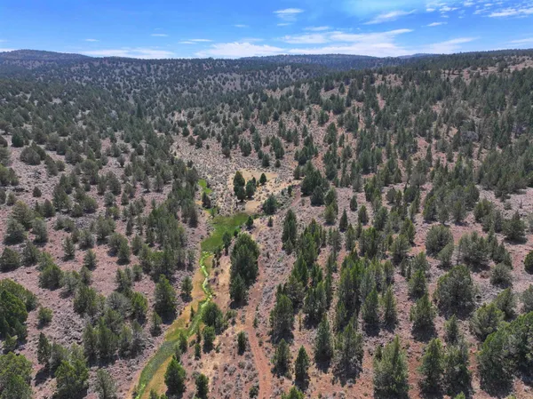a view of city and green space