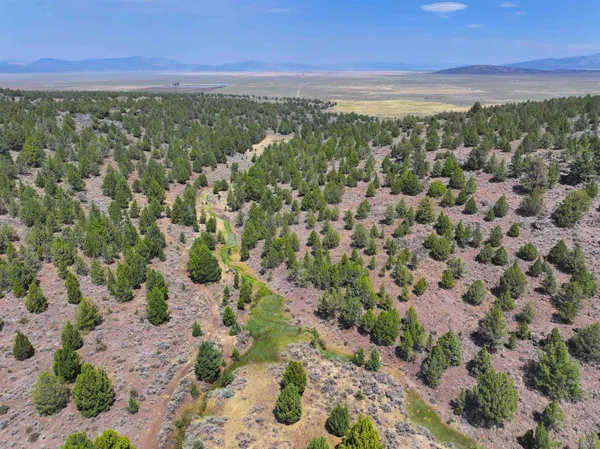 a view of a yard with an outdoor space
