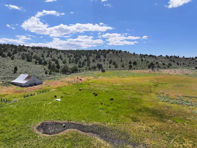 a view of an outdoor space and yard