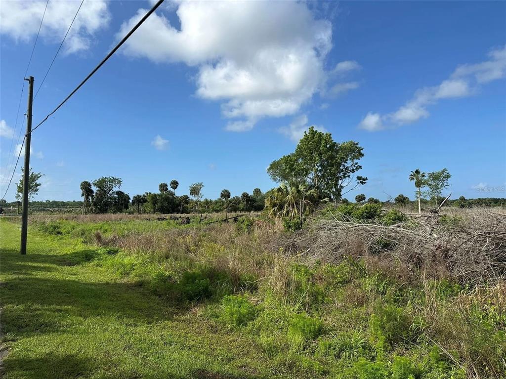 Howard Avenue Oviedo, FL 32765 - Photo 2 of 7 a view of a lake with a yard