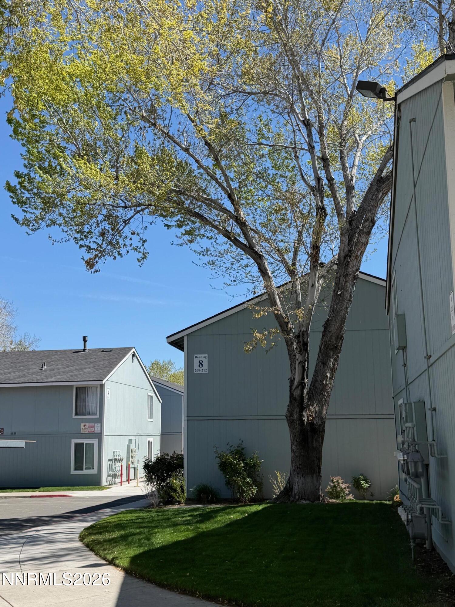 4608 Neil Road, Unit 215 Reno, NV 89502 - Photo 3 of 22 a view of a yard in front of a house with a large tree