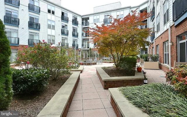$2,350 | 1800 Wilson Boulevard, Unit 101, Arlington, VA 22201