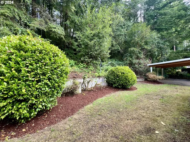 a view of outdoor space and yard