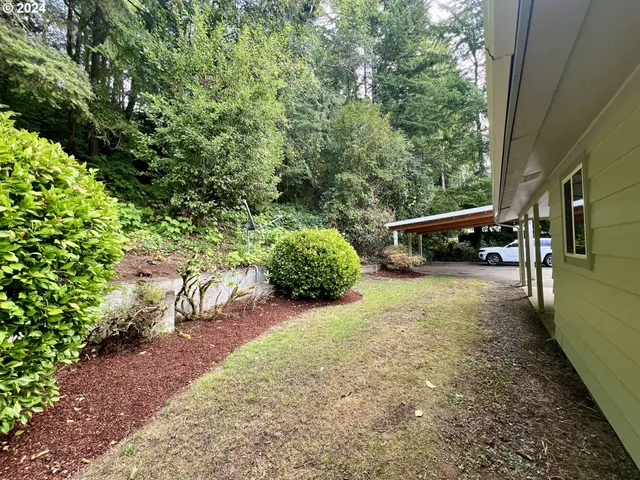 a view of a yard with an trees