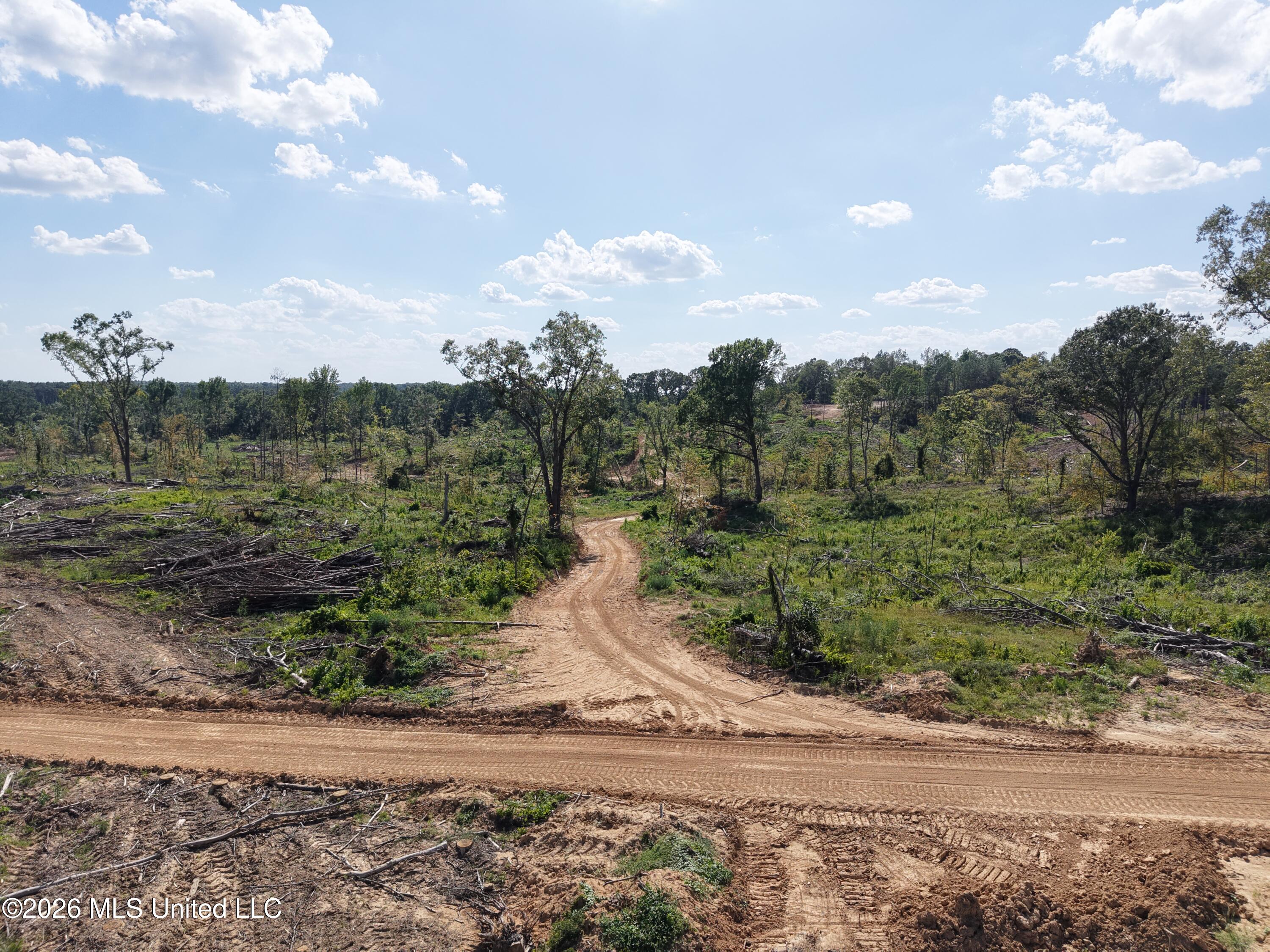Shook Road Cascilla, MS 38920 - Photo 8 of 18 8