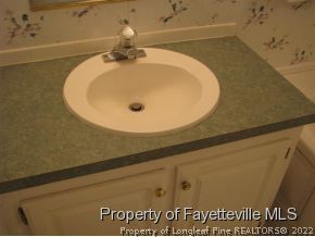 4250 Pittman Grove Church Road Raeford, NC 28376 - Photo 13 of 25 Gallery Image 13
