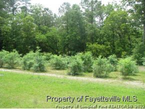 4250 Pittman Grove Church Road Raeford, NC 28376 - Photo 23 of 25 Gallery Image 23