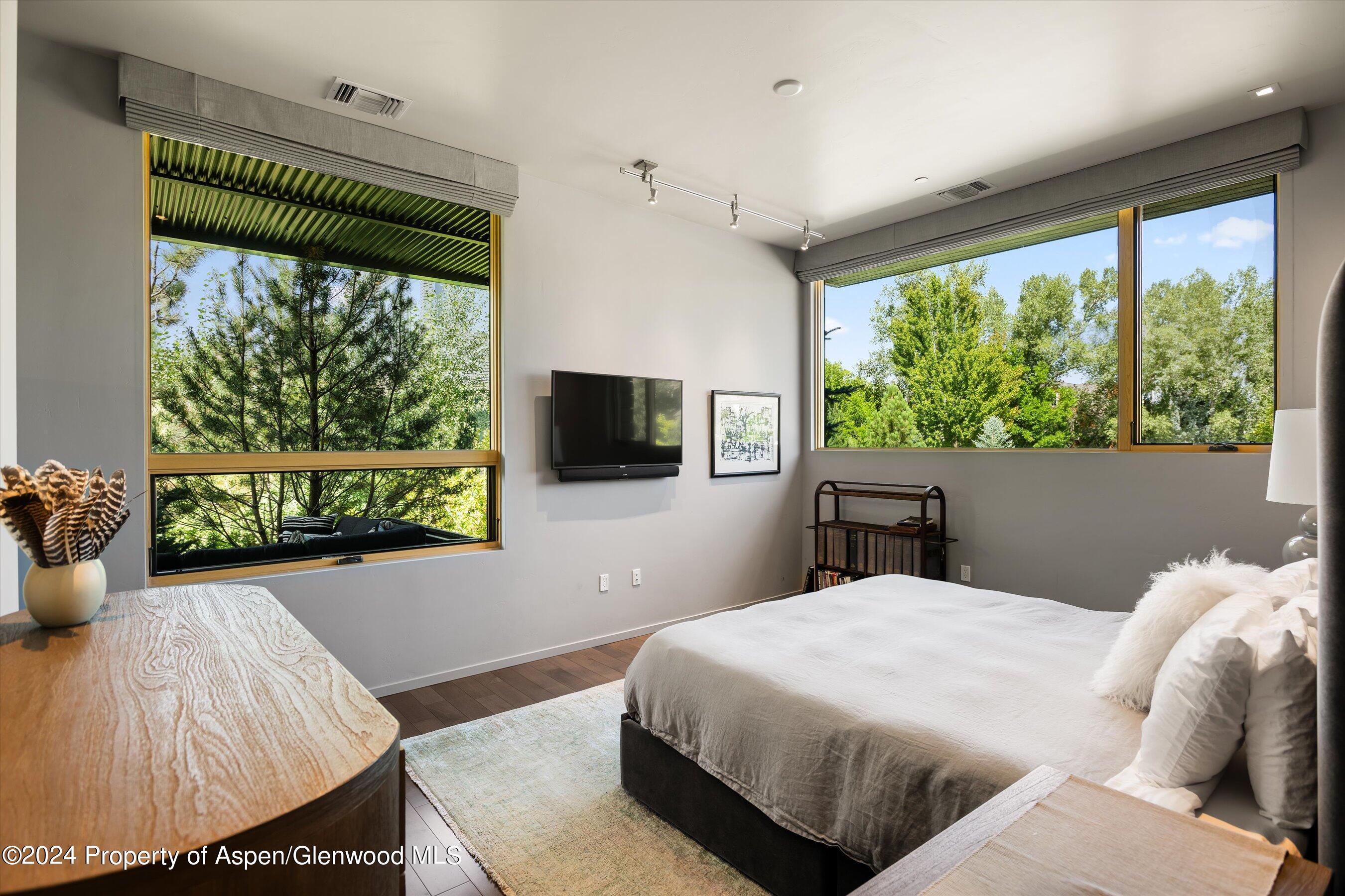 102 Evans Road, Unit 103 Basalt, CO 81621 - Photo 12 of 21 Primary Bedroom