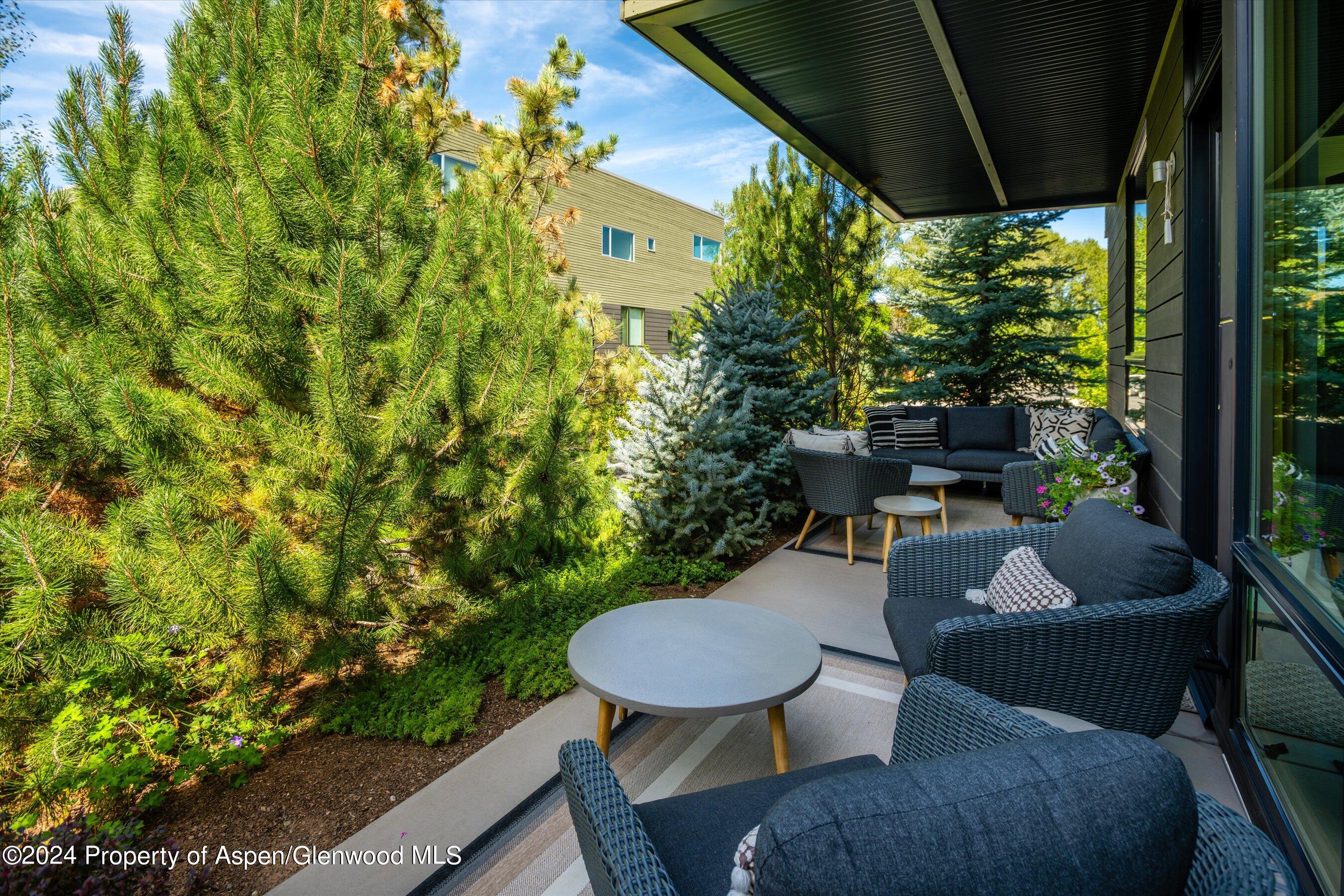 102 Evans Road, Unit 103 Basalt, CO 81621 - Photo 16 of 21 dine al fresco