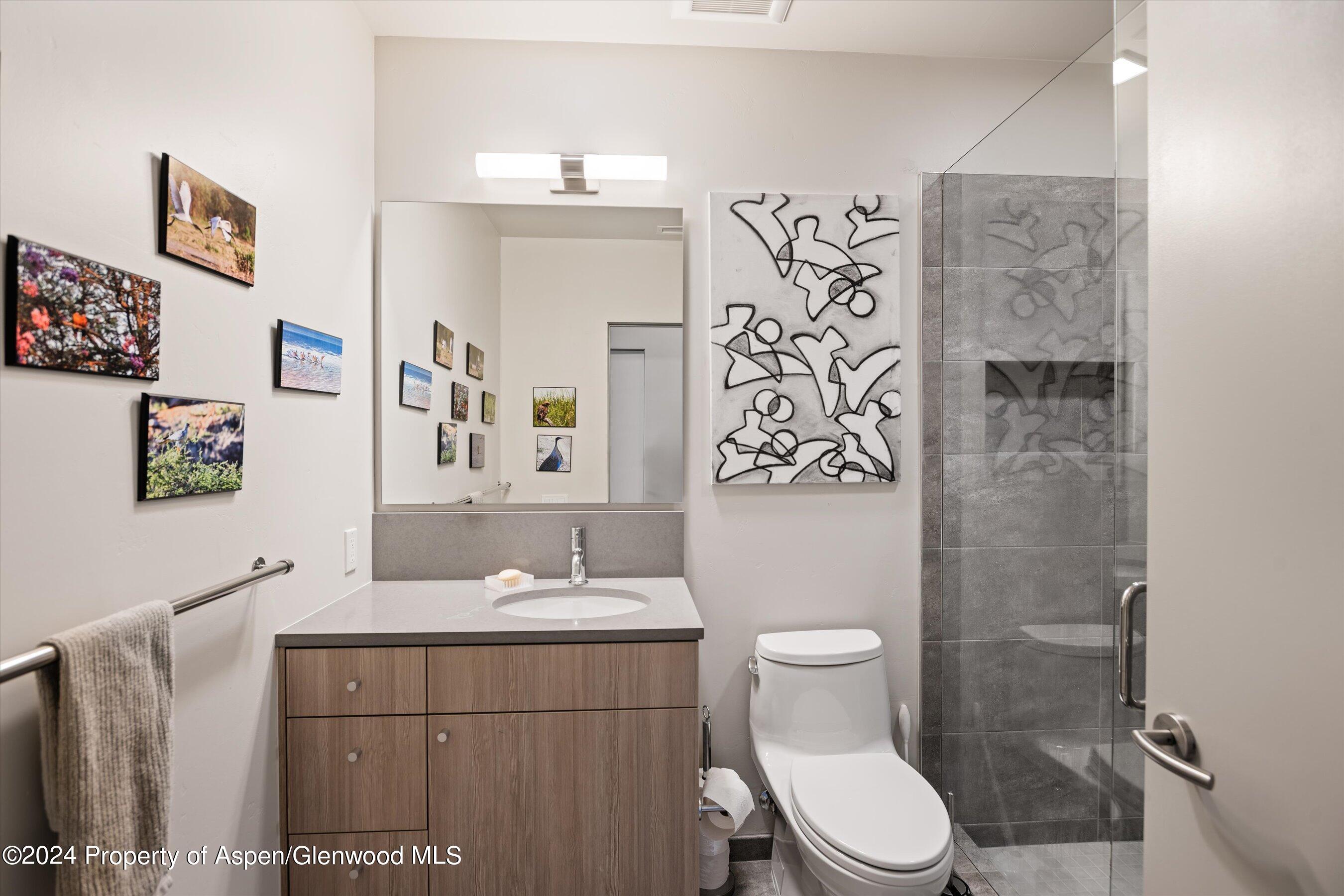 102 Evans Road, Unit 103 Basalt, CO 81621 - Photo 20 of 21 2nd Bathroom