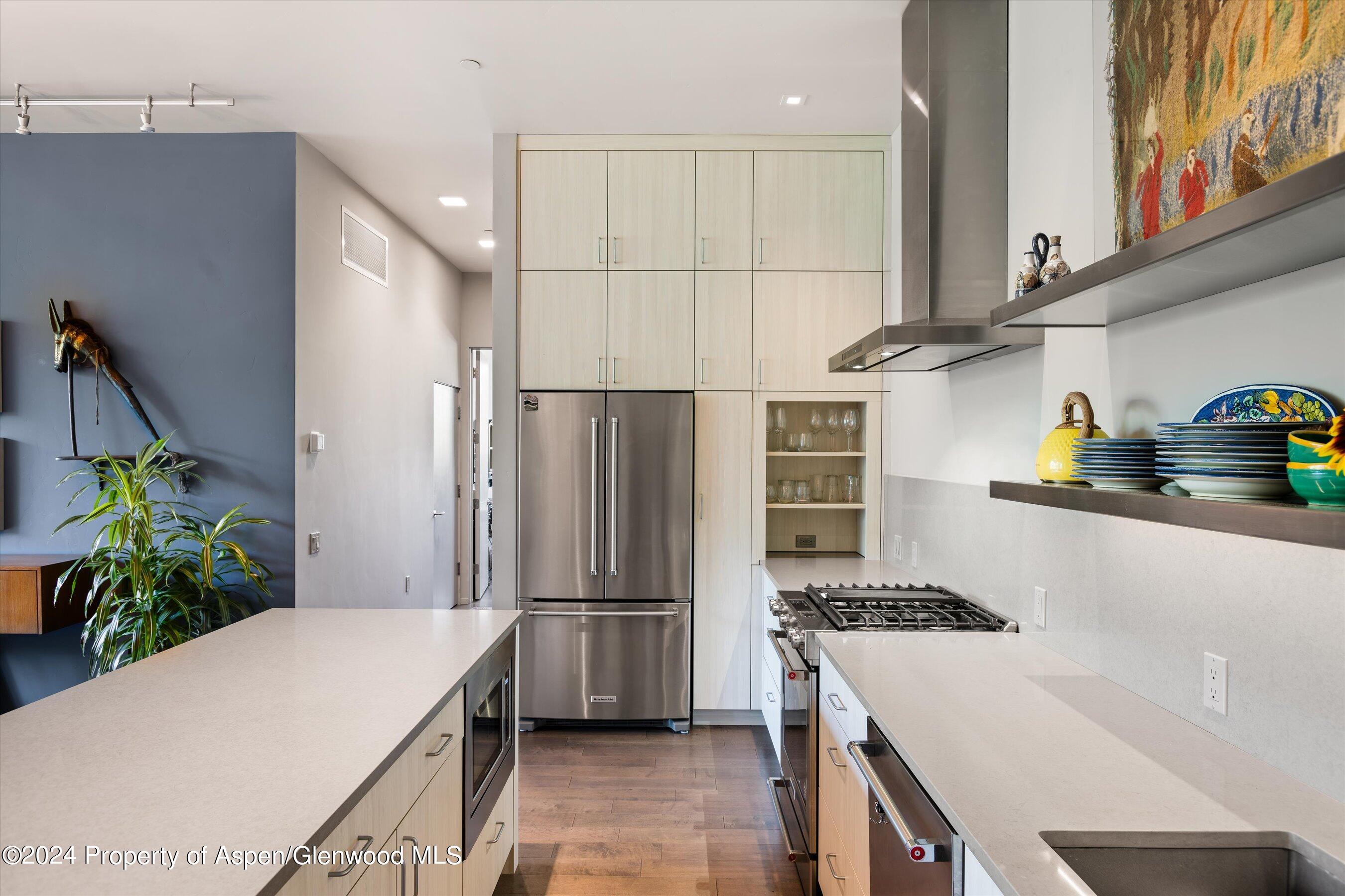 102 Evans Road, Unit 103 Basalt, CO 81621 - Photo 4 of 21 Contemporary kitchen