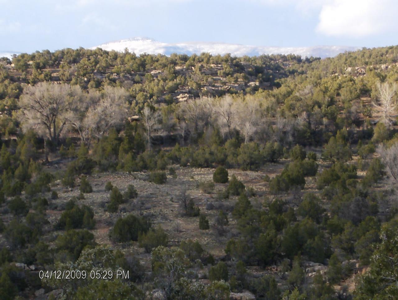 Tbd Tbd Off Of Bb Road Nucla, CO 81424 - Photo 1 of 7 views of white cap peaks