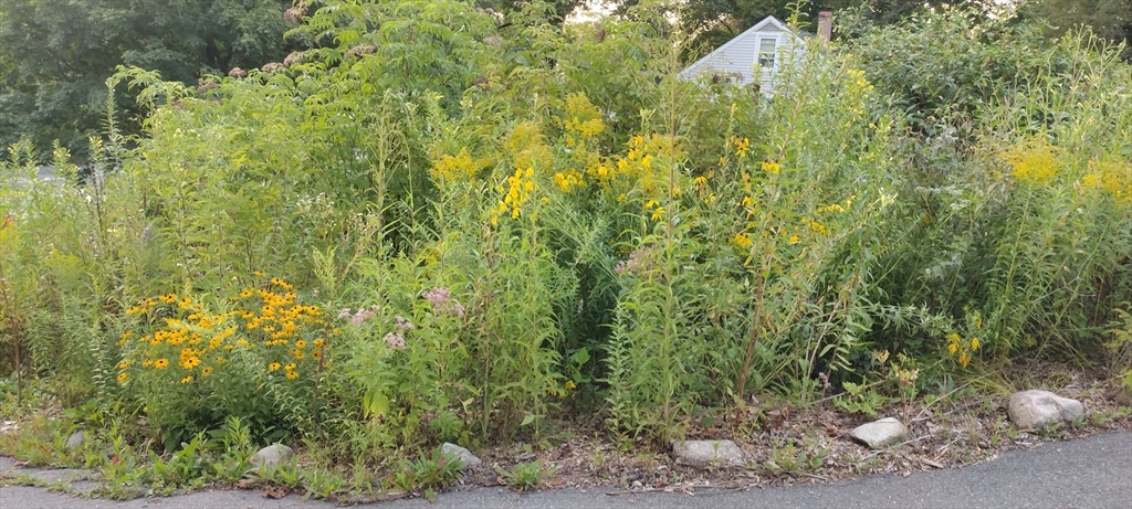169 Main Street Acton, MA 01720 - Photo 37 of 39 a view of a yard
