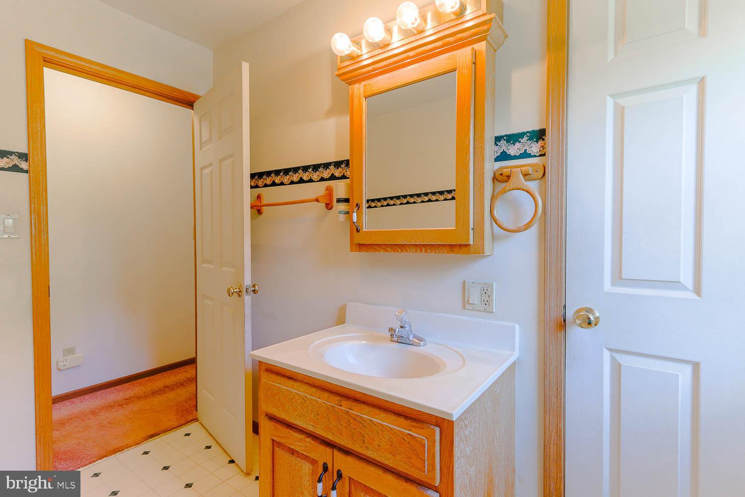 10 Flat Land Road Lewistown, PA 17044 - Photo 28 of 64 a bathroom with a sink and a mirror