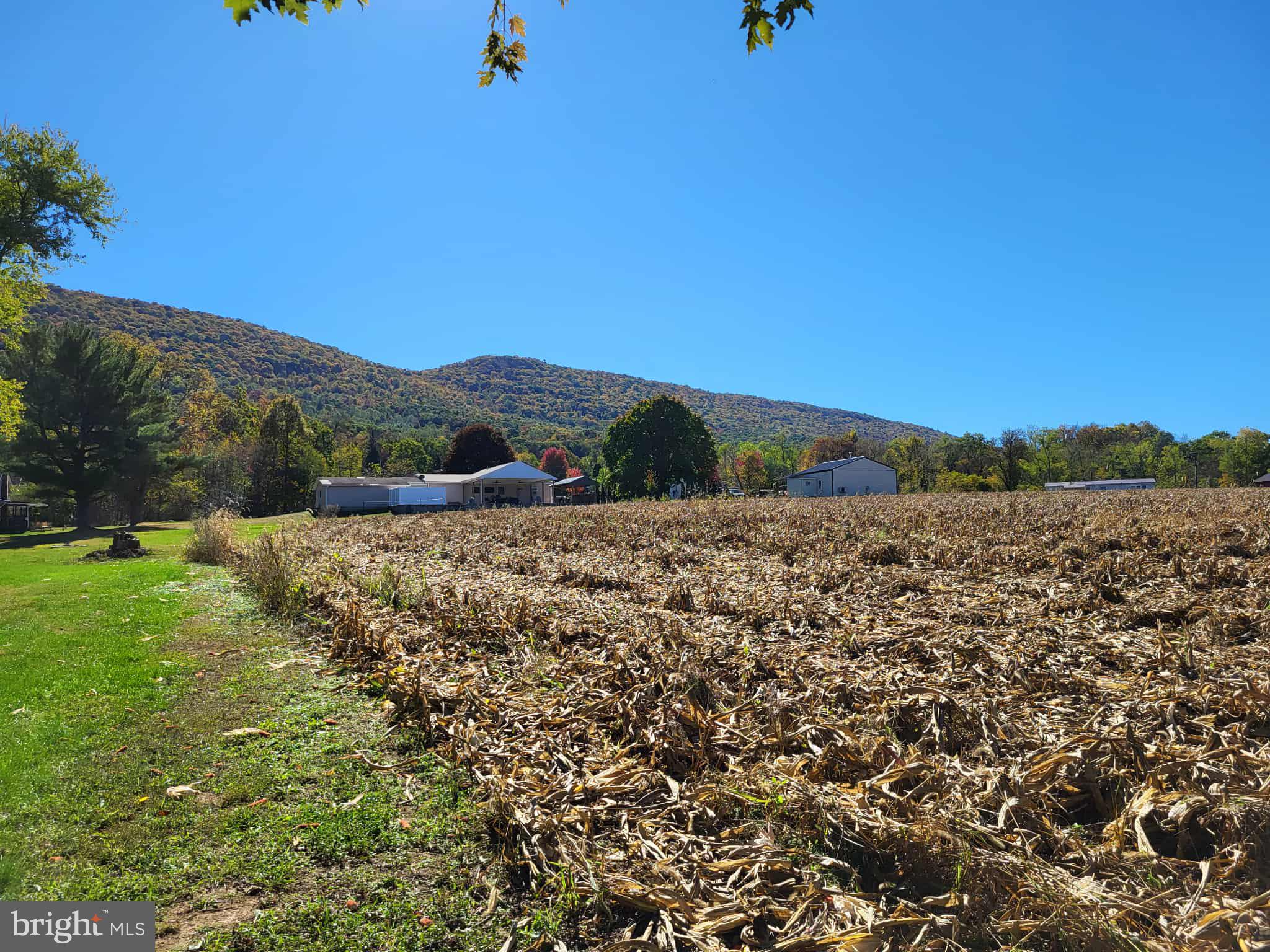 10 Flat Land Road Lewistown, PA 17044 - Photo 60 of 64 a view of a outdoor space with mountain view