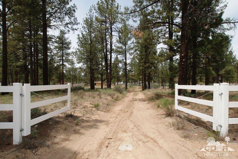 0 Table Mountain Road Mountain Center, CA 92561 - Photo 1 of 14 Primary Photo