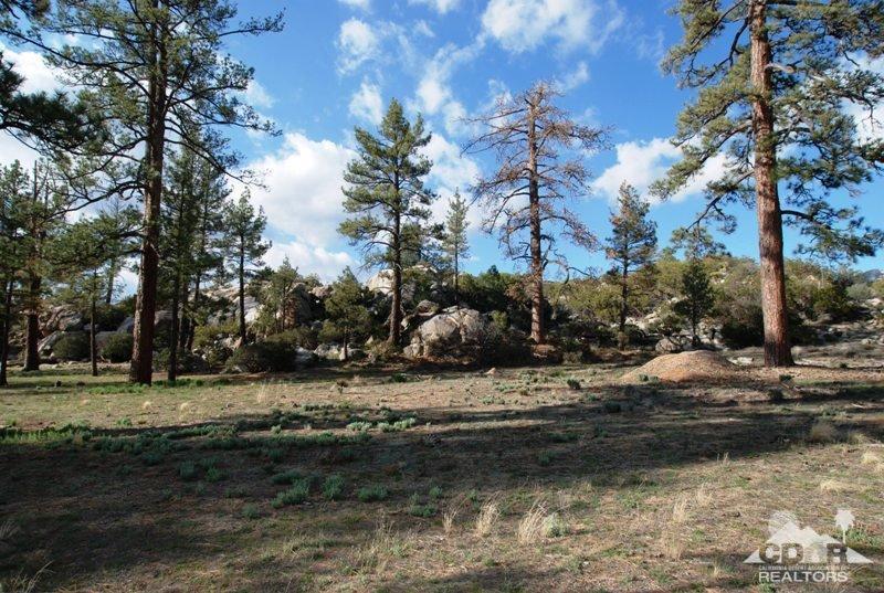 0 Table Mountain Road Mountain Center, CA 92561 - Photo 2 of 14 Additional Photo