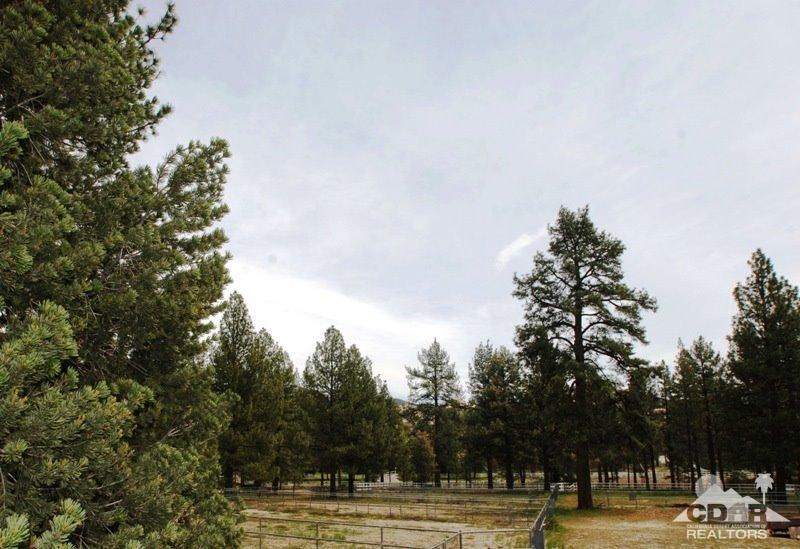 0 Table Mountain Road Mountain Center, CA 92561 - Photo 14 of 14 Additional Photo