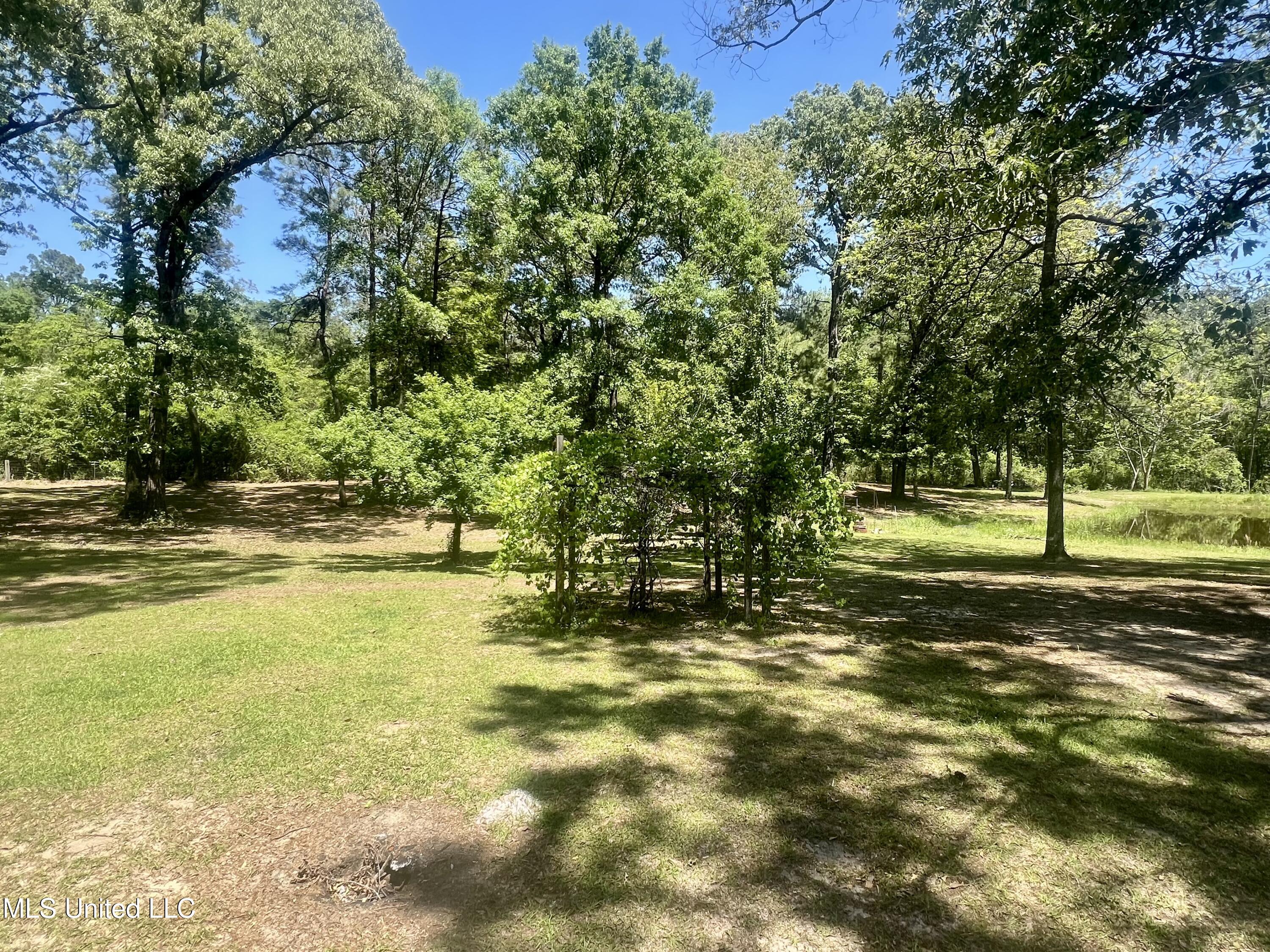 517 Dunnam Road Leakesville, MS 39451 - Photo 18 of 22 Back View