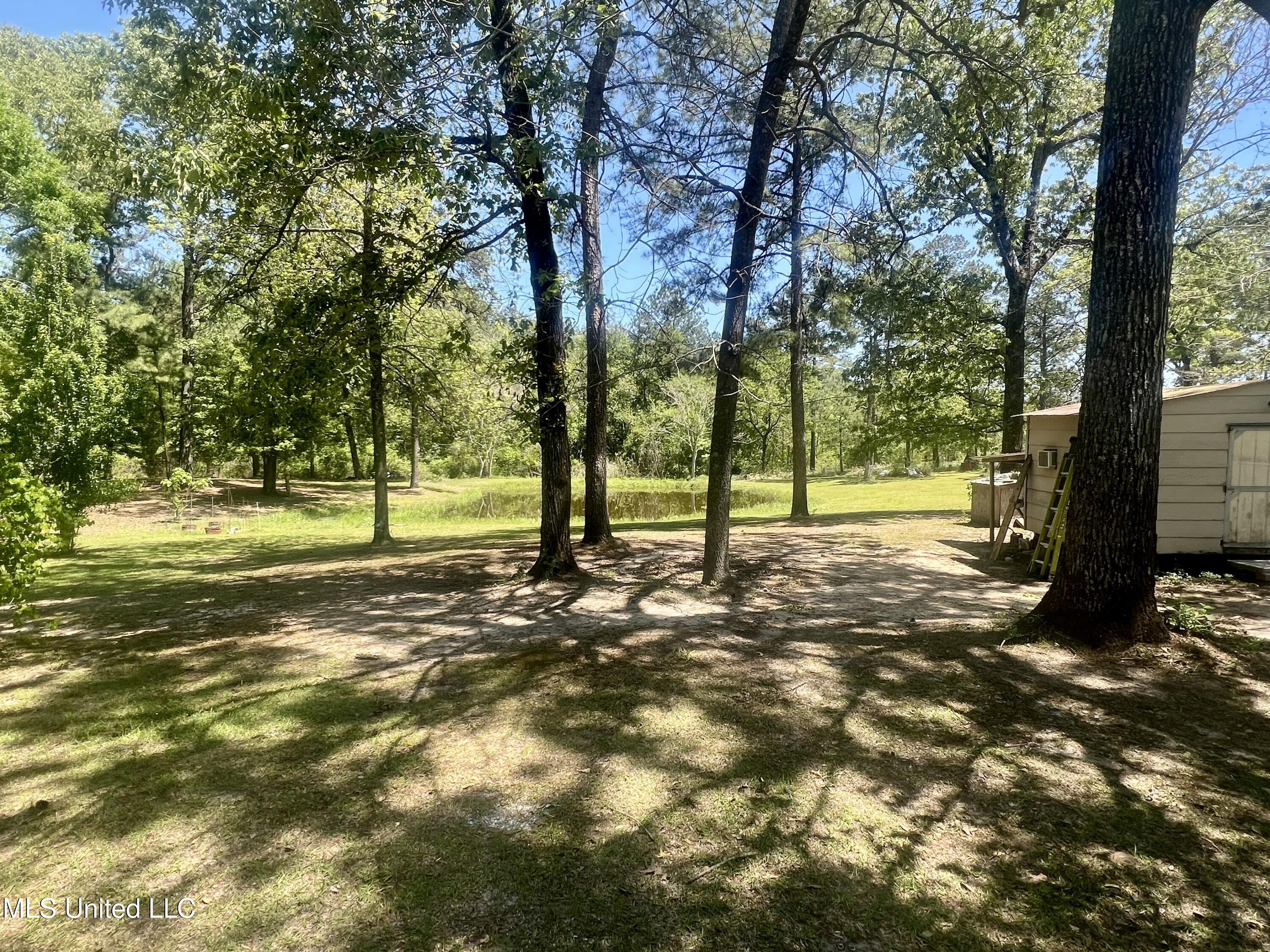 517 Dunnam Road Leakesville, MS 39451 - Photo 19 of 22 Back View Pond