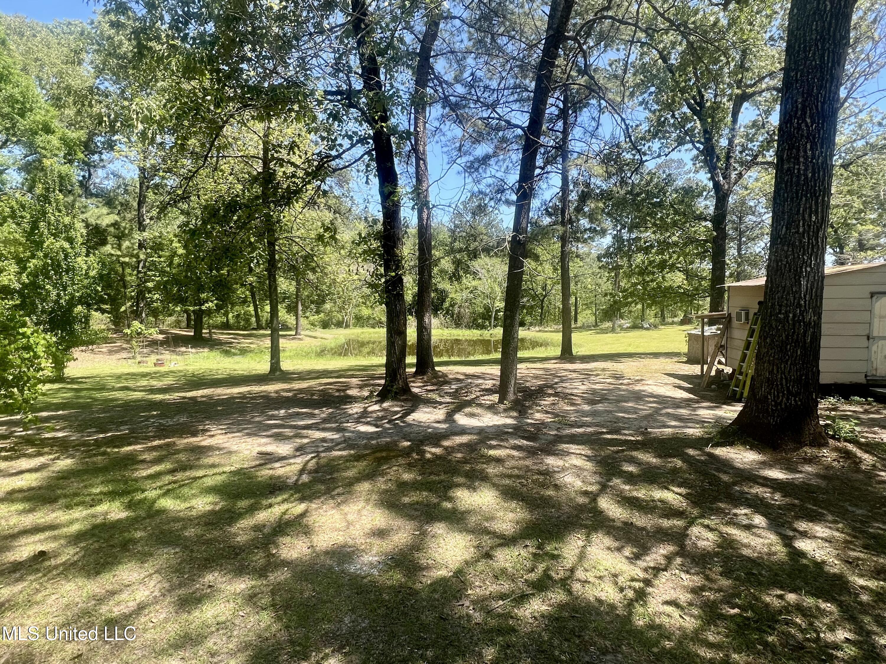 517 Dunnam Road Leakesville, MS 39451 - Photo 20 of 22 Deck View Pond