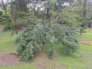 517 Dunnam Road Leakesville, MS 39451 - Photo 22 of 22 Plumb Tree