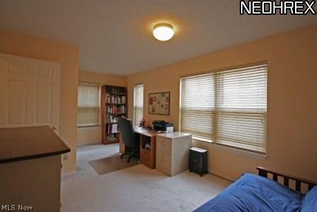 2189 West 7th Street Cleveland, OH 44113 - Photo 9 of 22 Gallery Image 9