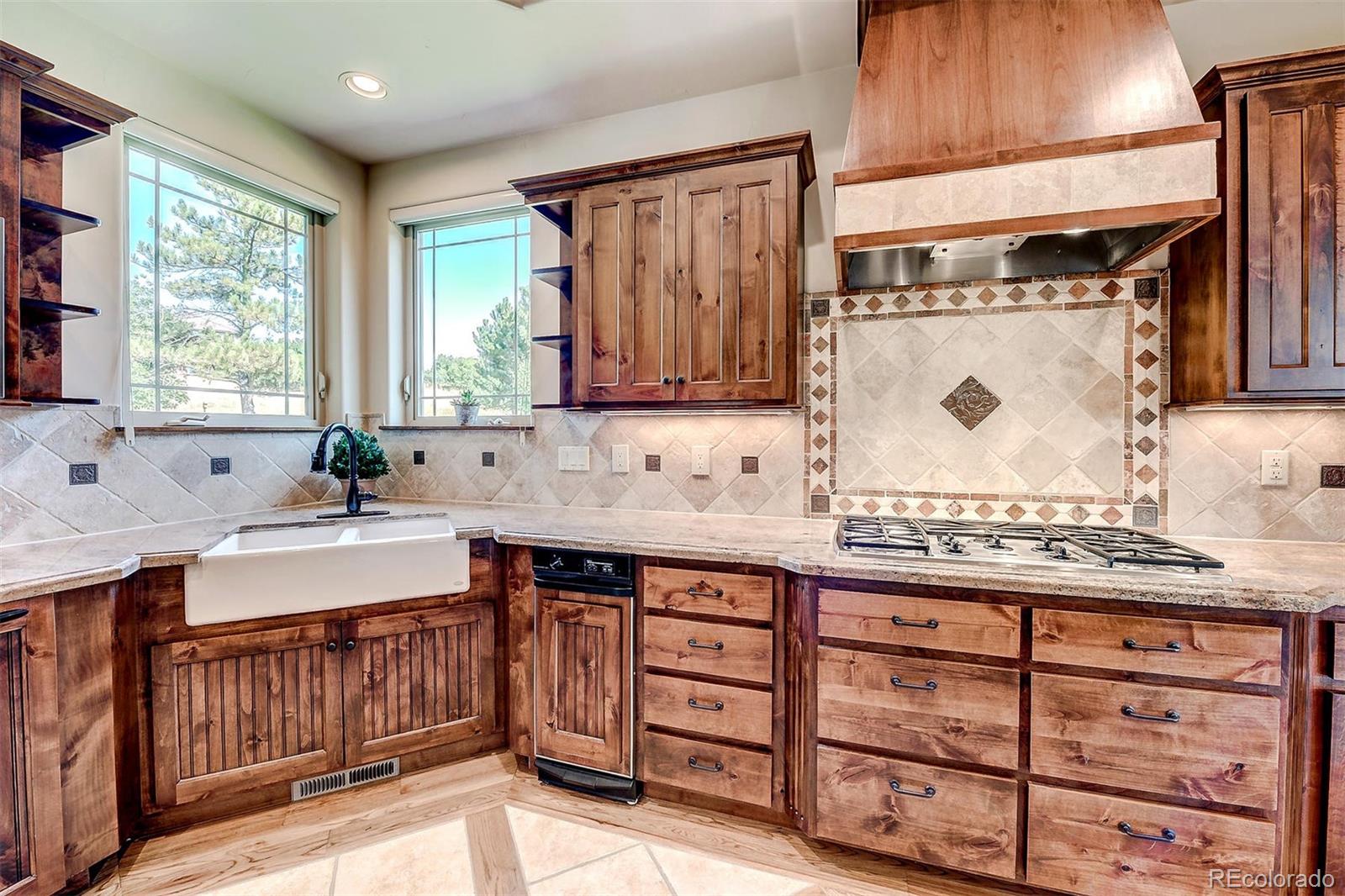 5376 Forest View Road Parker, CO 80134 - Photo 6 of 35