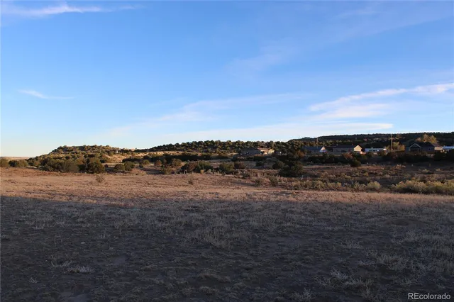 $175,000 | Tbd Cedar Avenue, Canon City, CO 81212