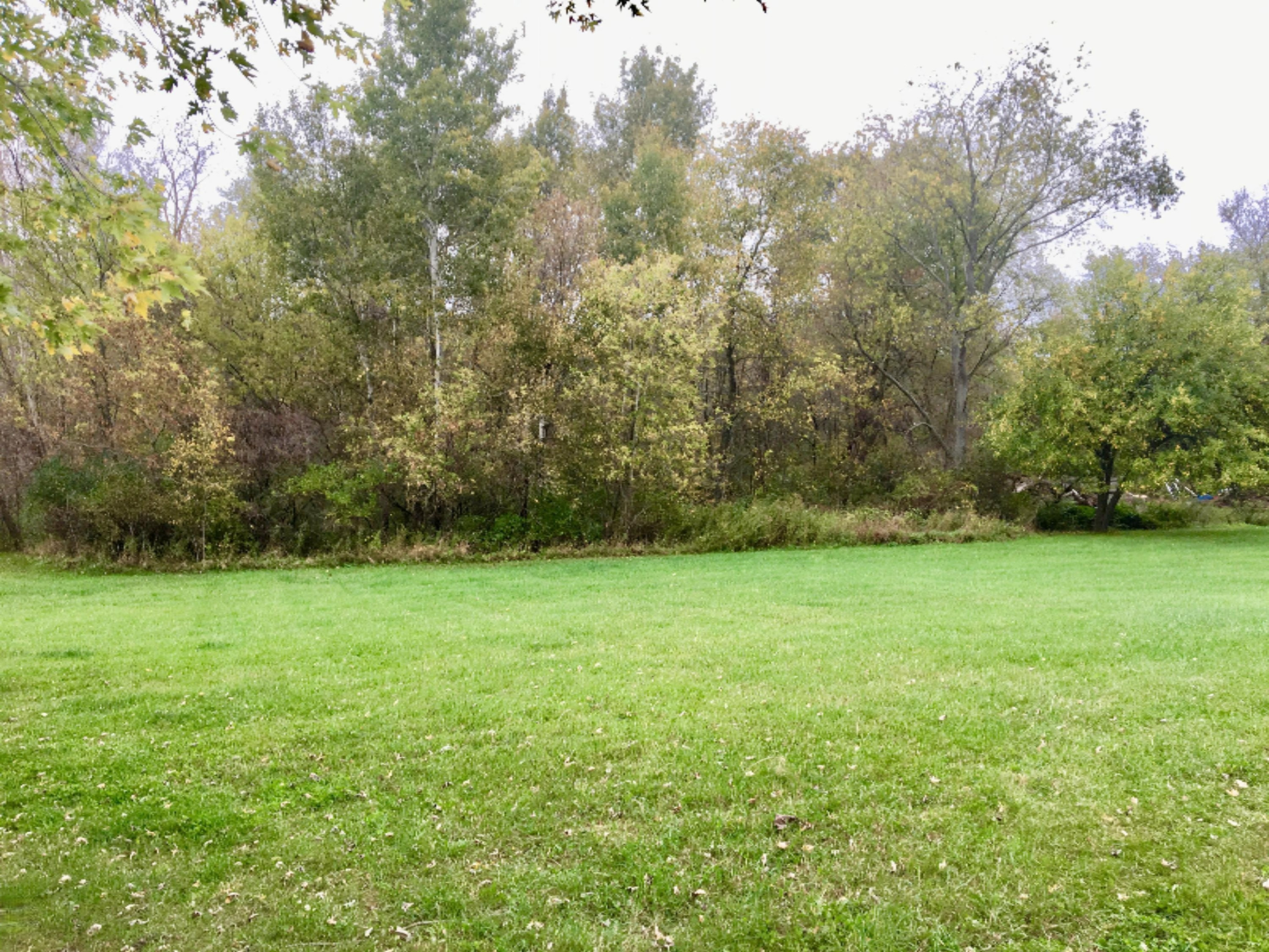 10943 East Spencer Road Crystal, MI 48818 - Photo 48 of 56 812FB491-D502-4F20-A627-9BDA7AACB8B9
