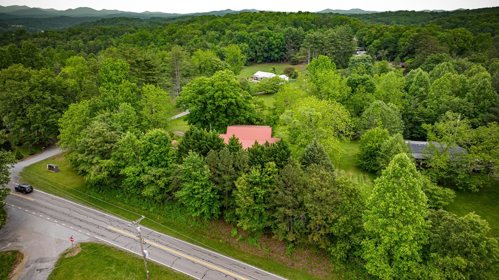 16 Hollow Springs Road Blue Ridge, GA 30513 - Photo 14 of 62