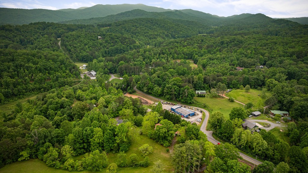 16 Hollow Springs Road Blue Ridge, GA 30513 - Photo 17 of 62 a view of a lush green forest with trees in the background