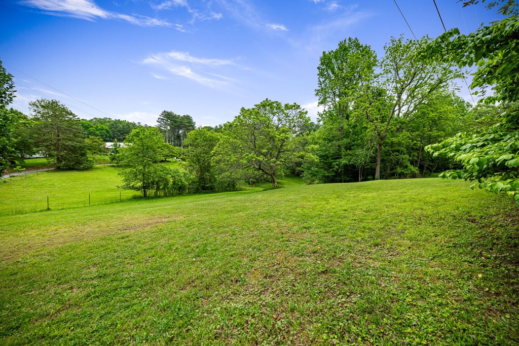 16 Hollow Springs Road Blue Ridge, GA 30513 - Photo 22 of 62 a view of a field with an trees