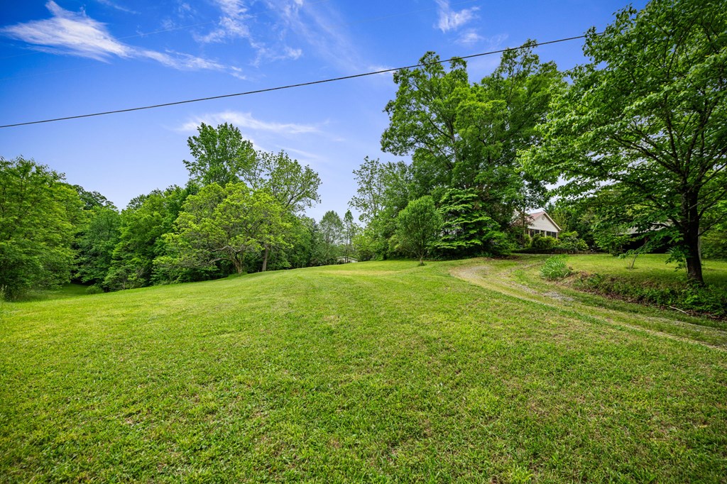 16 Hollow Springs Road Blue Ridge, GA 30513 - Photo 24 of 62 a view of yard with swimming pool and green space