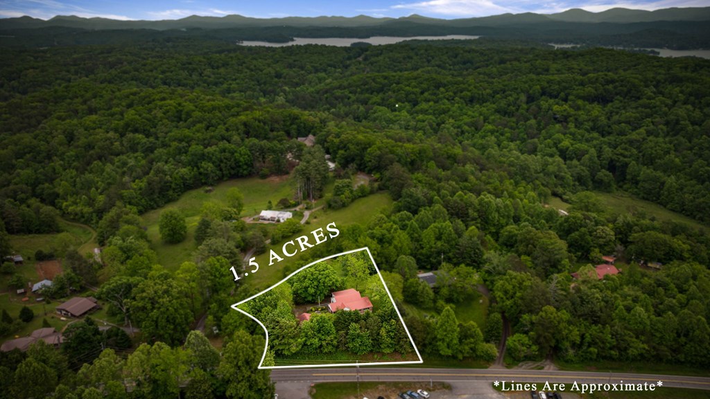 16 Hollow Springs Road Blue Ridge, GA 30513 - Photo 3 of 62 a view of houses with outdoor space