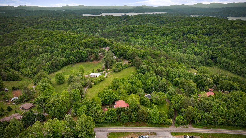 16 Hollow Springs Road Blue Ridge, GA 30513 - Photo 4 of 62 a view of an outdoor space and mountain view