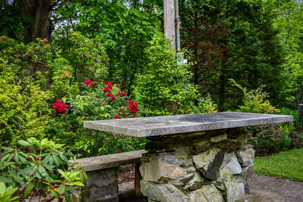 16 Hollow Springs Road Blue Ridge, GA 30513 - Photo 57 of 62